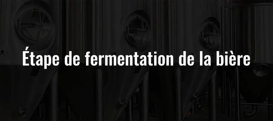 Étape de fermentation de la bière :