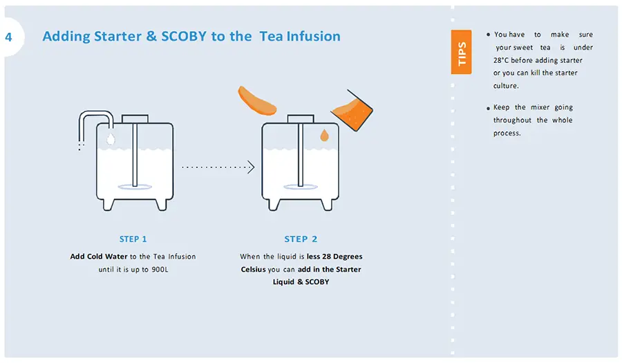 Processus de fabrication du Kombucha 3