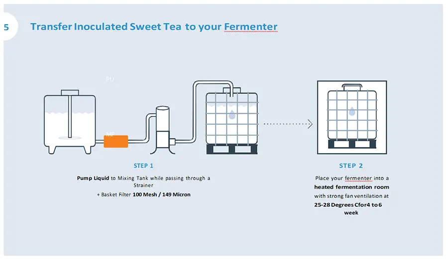 Processus de fabrication du Kombucha 4