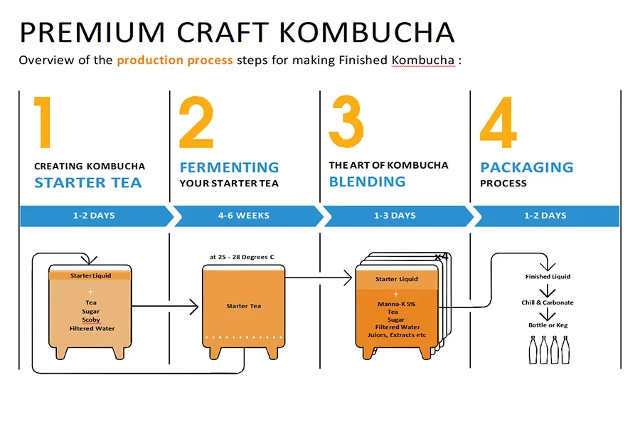 préparer du thé kombucha artisanal