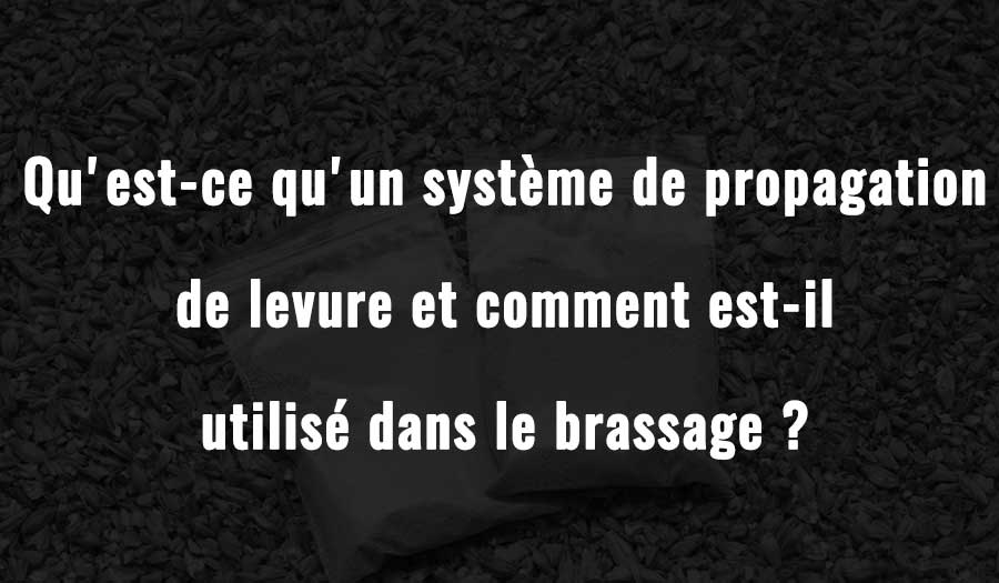 Qu'est-ce qu'un système de propagation de levure et comment est-il utilisé dans le brassage ?