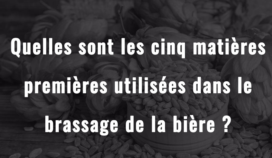 Quelles sont les cinq matières premières utilisées dans le brassage de la bière ?