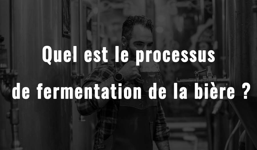 Processus de fermentation：Quel est le processus de fermentation de la bière ?