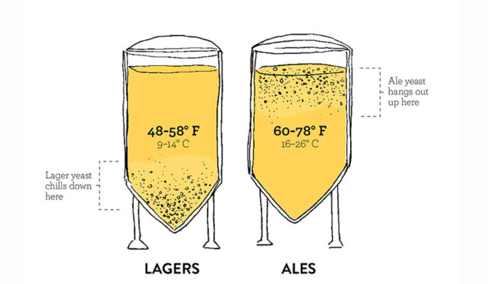 Différents styles de bière