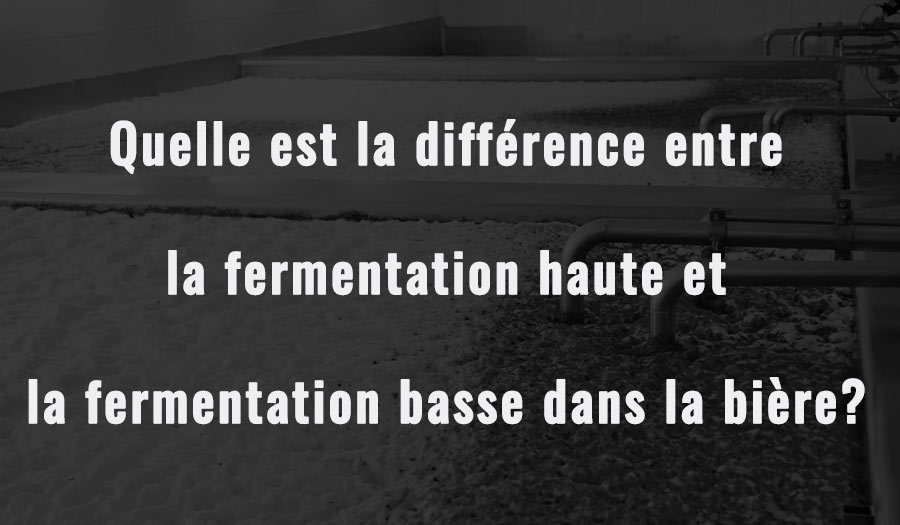 Cuve de fermentation：Quelle est la différence entre la fermentation haute et la fermentation basse dans la bière ?