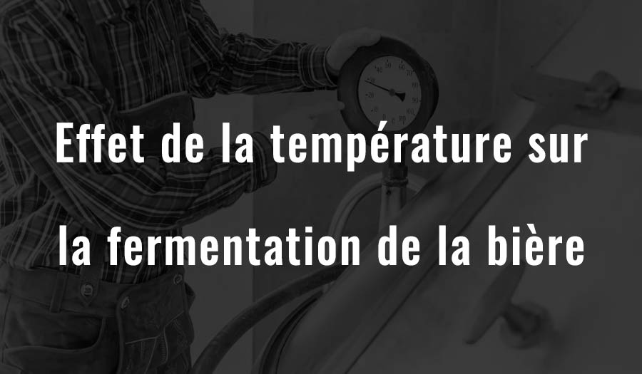 Effet de la température sur la fermentation de la bière