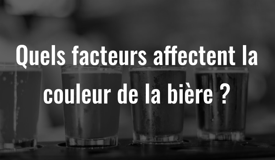 Quels facteurs affectent la couleur de la bière ?