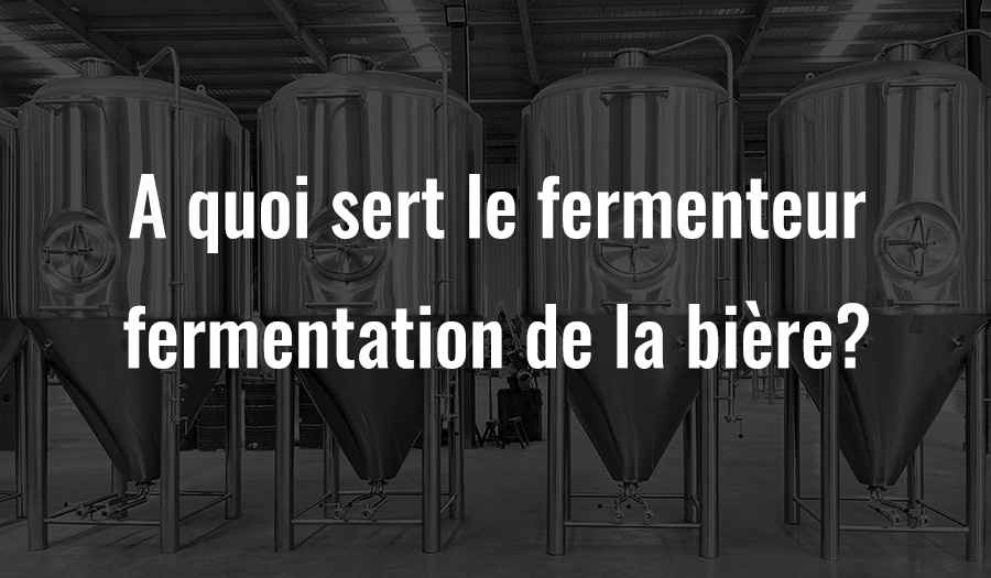 Quel fermenteur est utilisé pour la fermentation de la bière ?