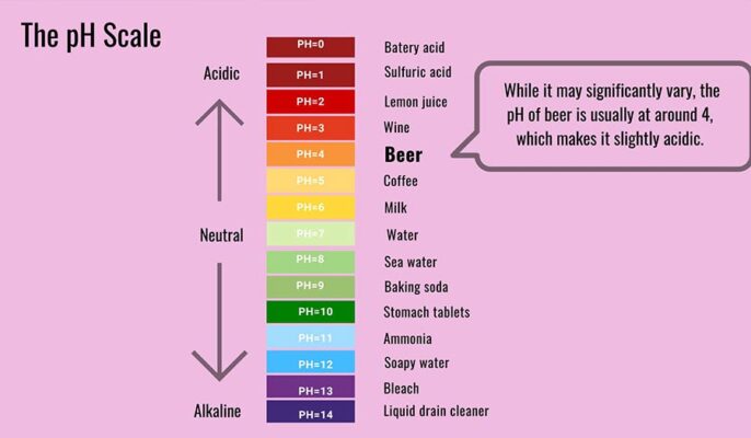 La bière est-elle acide ou alcaline ?