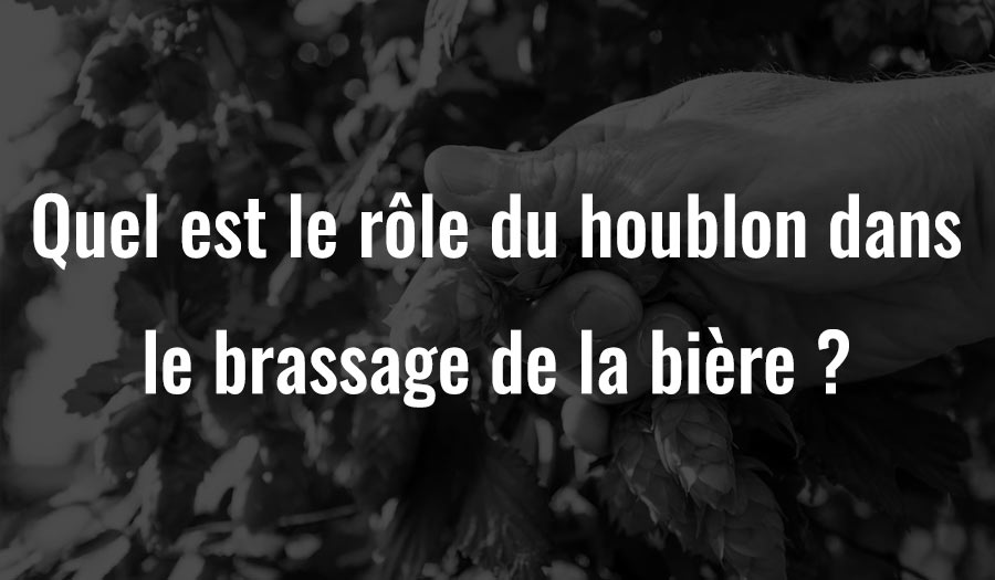 Le houblon utilisé dans le brassage de la bière est une fleur végétale appelée houblon commun, dont le nom scientifique est houblon. L'ajout de houblon pendant le processus de brassage donne à la bière son goût amer caractéristique. Un arôme riche est également fourni à la fin. Un autre énorme avantage de l'ajout de houblon à la bière est qu'il s'agit d'un conservateur naturel - il augmente la durée de conservation de la bière. Avec la popularité croissante de l'arôme de houblon, comme en témoignent les IPA, de plus en plus de brasseries utilisent de plus grandes quantités de houblon aromatique et les ajoutent à plusieurs étapes du cycle de brassage.