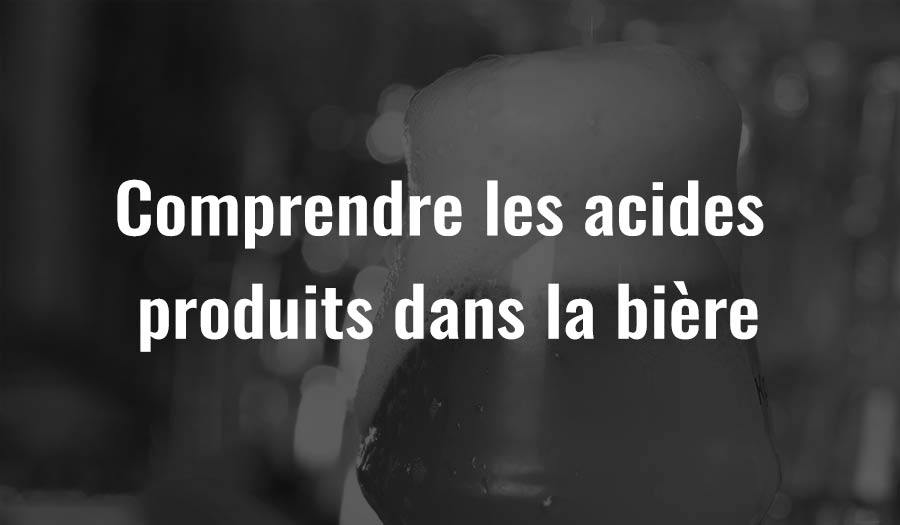 Comprendre les acides produits dans la bière