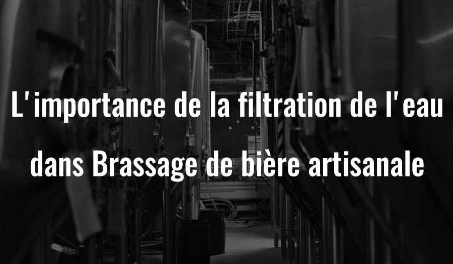 L'importance de la filtration de l'eau dans le brassage de la bière artisanale