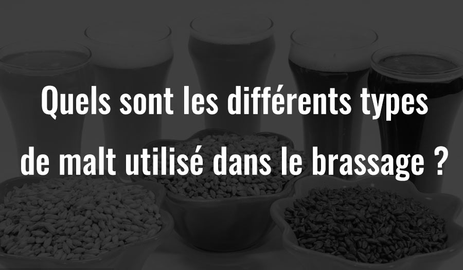 Quels sont les différents types de malt utilisés dans le brassage ?