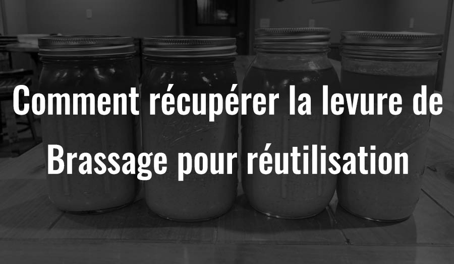 Comment collecter la levure de brassage pour la réutiliser