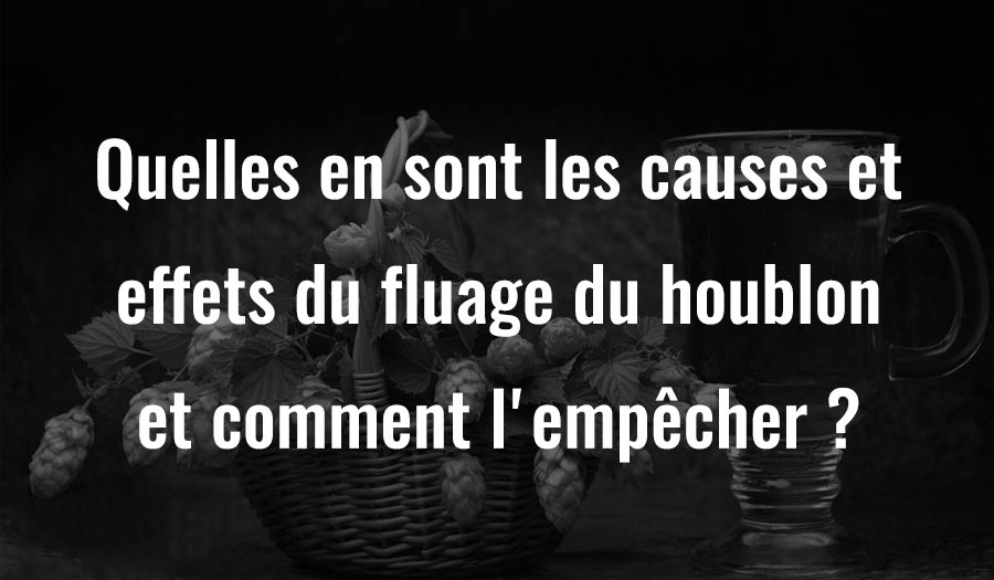 Quelles sont les causes et les effets du fluage du houblon et comment l’éviter ?